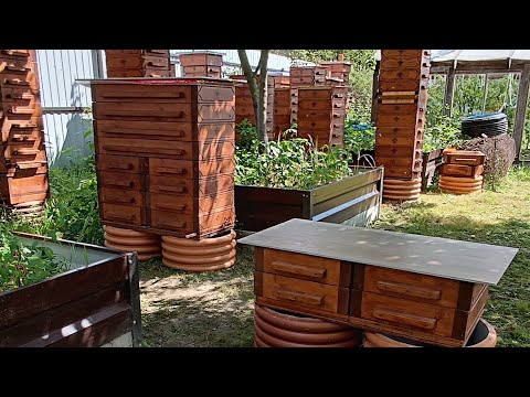 Двух маточное пчеловодство в малоформатных ульях. 4.08.2024.