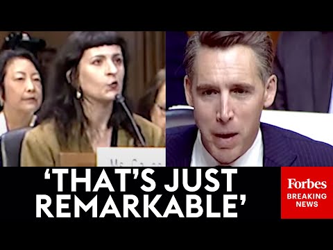 'I'm Sorry, Did You Say Any Child?': Hawley Stunned By Meta Whistleblower's Claim About Child Safety