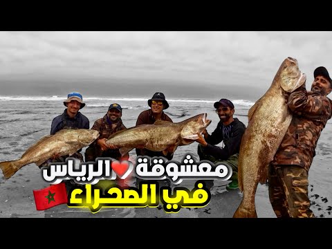 صيدنا على الكوربين😍في اليوم الثاني وكانو تقاوس🎣و مفاجئات رائعة🔥مع رياس الدارالبيضاء🇲🇦.