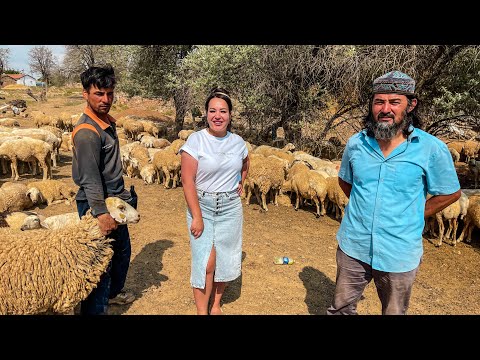 KAZAKHS IN TURKEY! How do they live in a KAZAKH village? Cooking MANTY, baursak! TURKEY, Kazakhs.