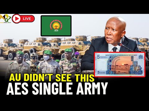 AES Single ARMY shocks ECOWAS and AU! The Dream of Malema Happening NOW