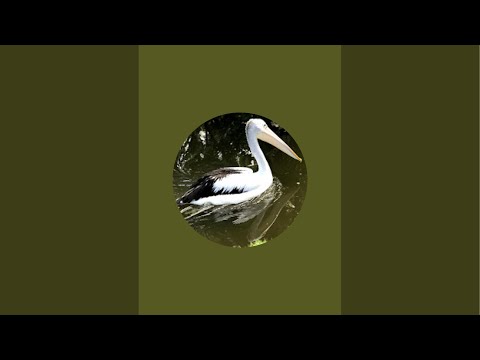 My New Lens is live!