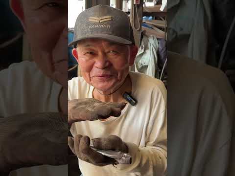 1000 Knives a Day. 69 Year old Japanese Blacksmith