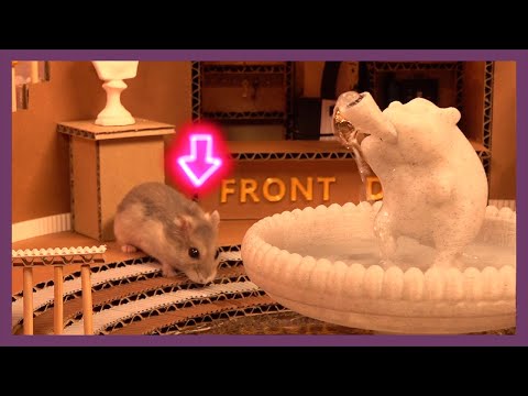 [ENG Sub] Hamster Hotel