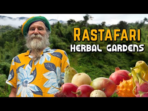 Weird & Wild Fruit Tasting at Rastafari Herbal Gardens!
