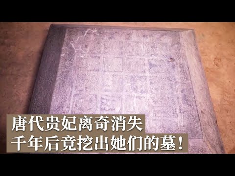 两座古墓破解大唐宫廷奇案！唐代贵妃竟在死亡13年后才被安葬 壁画吐露千年前的秘密！ 《探索·发现》唐安国相王孺人墓 丨 中华国宝