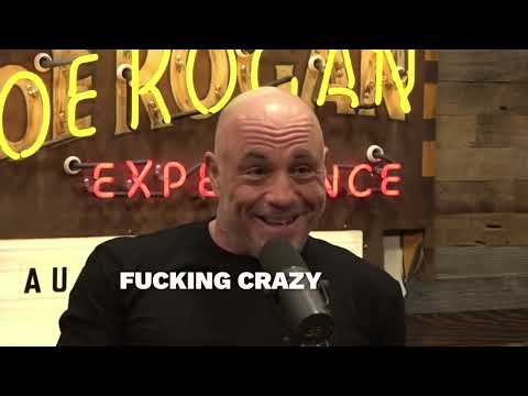 Elon Musk Reveals How Fast Starship Really Travels