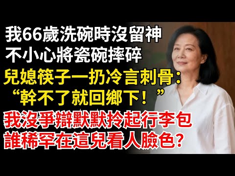 【我66歲】洗碗時沒留神，不小心將瓷碗摔得粉碎，兒媳筷子一扔，冷言刺骨：「笨手笨腳的，幹不了就回鄉下！」我沒爭辯默默拎起行李包，誰稀罕在這兒看人臉色？#晚年生活#中老年生活#情感故事#智慧人生