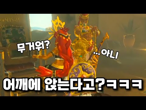 [웃긴 영상 모음] 링크 어깨 위에 앉은 루쥬ㅋㅋㅋㅋㅋㅋㅋㅋ