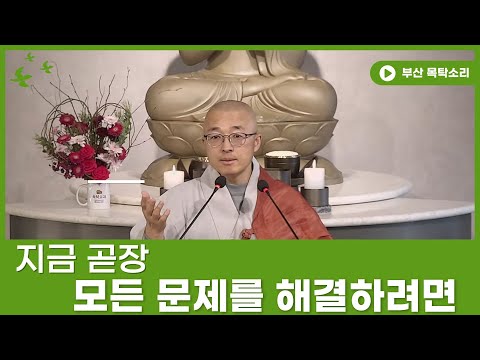 [황벽52] 진정한 나를 깨달으면, 삶이 자유로와진다, 본래 삶에 아무 문제는 없다