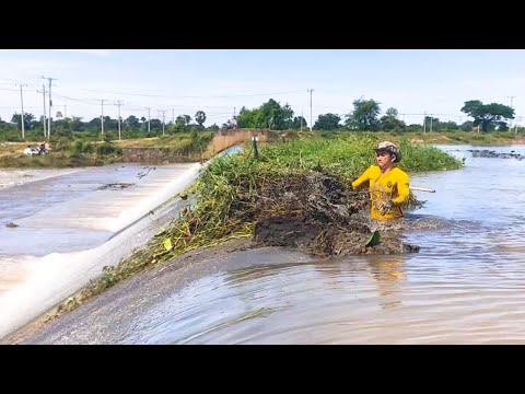 To Avoid Traffic Jams, My Friend And I Remove Grass Growth Over Dam Drainage After Heavy Rain