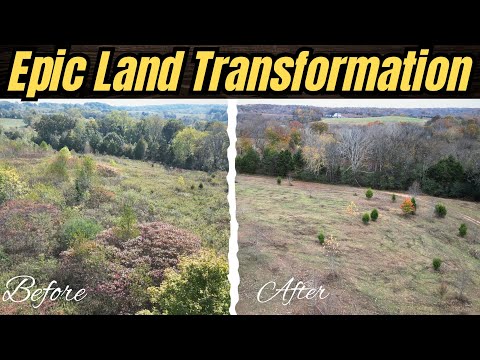 Neglected Farm Makeover with a Bobcat Brush Hog | Before-and-After Transformation