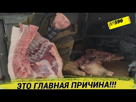 Вот почему мы сами не реализуем свою продукцию. Омск Москаленки.