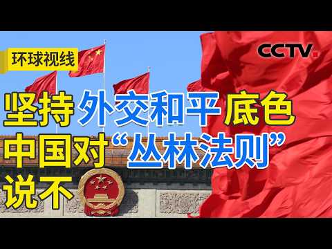中国稳健发展向新而行 携手世界共创未来 20260312 | CCTV中文《环球视线》