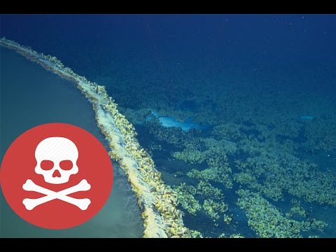 Scientists Discover UNDERWATER Lake That KILLS Everything it Touches!