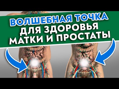 Ключ от МУЖСКОГО и ЖЕНСКОГО здоровья! Точка кишечника вылечит мочеполовую систему!
