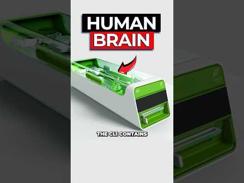 Scientists Create World's First Living Computer