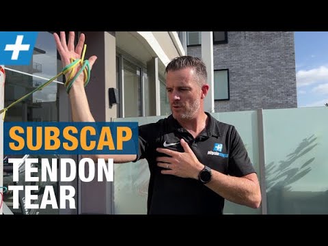 Subscapularis Tendon Tears - Beginner to Advanced Rehab | Tim Keeley | Physio REHAB