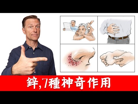 鋅,7種你想不到的好作用,柏格醫生 Dr Berg