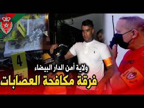 فرقة مكافحة العصـ.ـابات بولاية أمن الدار البيضاء.. كابُوس يُفـزِع المجـ.ـرمين و تجار المخد.رات