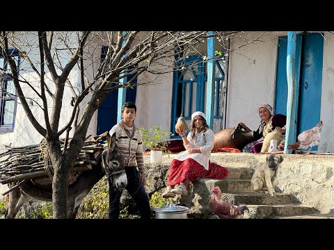 Nomadic Life Adventures | Collecting Firewood with a Donkey & Making Traditional Butter