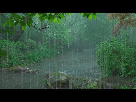 The beautiful little river is raining(111) , sleep, relax, meditate, study, work, ASMR