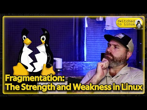 Fragmentation: The Strength and Weakness of Linux