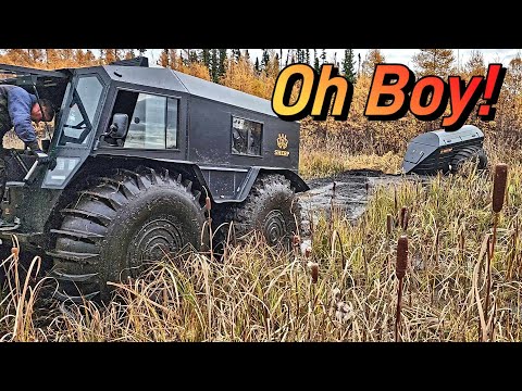 Moose Hunt 2023 What An Adventure