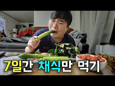 7일간 채식만 먹으면서 다이어트하기ㅋㅋㅋ