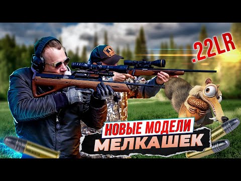 Мелкашки. Очень нужный калибр .22 LR. Как попасть белке в глаз. Самые интересные новинки 2023 года.