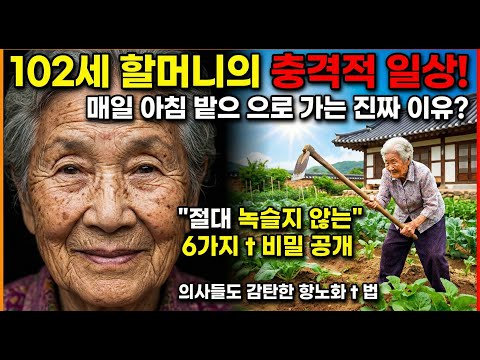 102세 일본 할머니의 충격적인 건강 비결! 돈 한 푼 안 들고 무병장수하는 6가지 방법