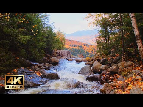 Mountain River in Autumn Colors | 10h Relaxing Water Sounds for Sleep & Focus