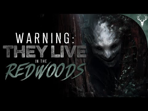 Something in the REDWOODS Takes People AWAY FOREVER - 5 True Scary Stories