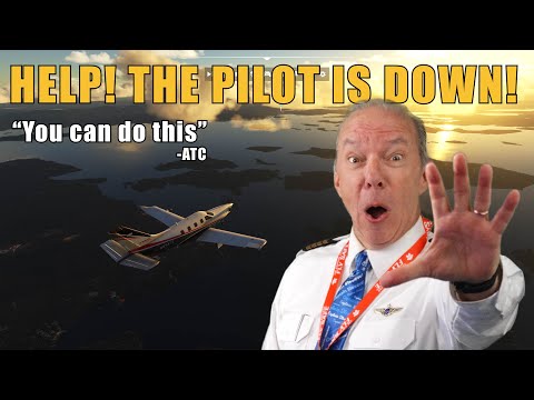 Pilot Incapacitated After Takeoff — Daughter Takes Control and Attempts Landing!