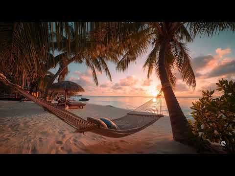 Chill Your Soul – Smooth Beats & Peaceful Vibes for a Calm Mind 🌸 | Chill Music for Relax & Focus