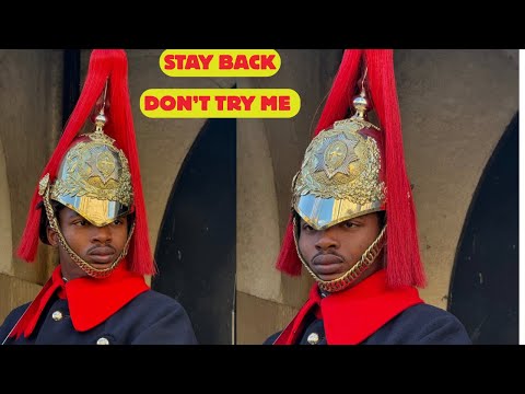 UNREAL! First Warning from Guard, Second from the Horse 🤣