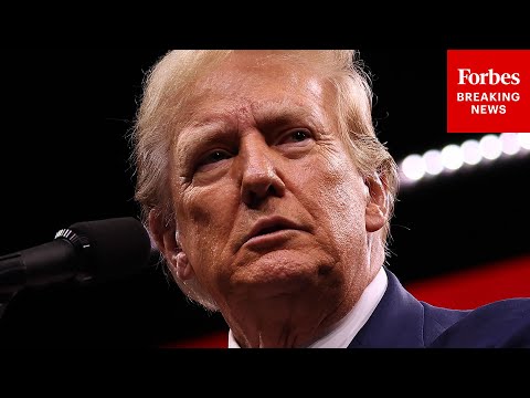 Trump Calls To Revoke Citizenship Of Any Naturalized Immigrant Convicted Of Defrauding Citizens