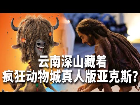 被全网偶遇的阿根廷“世界 NPC”，我们在昆明找到了！【我住在这里的理由442】