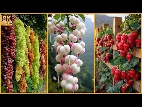 25 Frutas Olvidadas Que Amaban Nuestros Abuelos – ¡Y Hoy Casi Nadie Conoce!