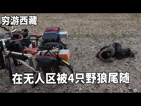 穷游兄弟自行车骑行西藏，穿越无人区遇到4只狼！赶紧找废弃房住进去【云游兄弟】