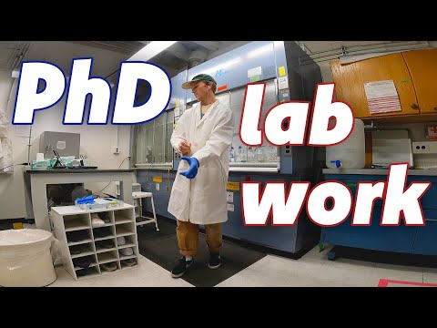 PhD DAY IN THE LIFE | lab work at UArizona