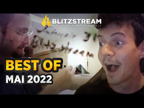 Gotham est fan de Blitzstream !!! Il écrit son nom sur son corps 💪💪