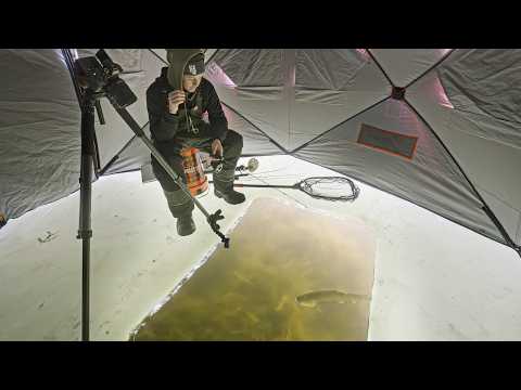 Sight Fishing For A Manitoba Master Angler