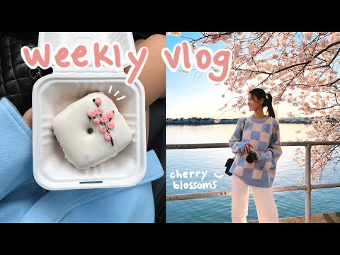 weekly vlog 🌸 home makeover, new furniture, DC cherry blossom festival, spring ootds, museums