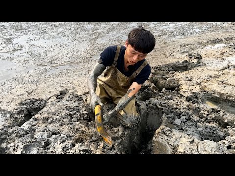 “水猴子” 名號太頂了！塘裏鱔魚躲着，連老闆家雞鴨都嚇得發抖#fishing #熱門