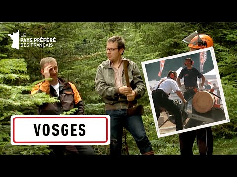 Concours de bûcherons dans les Vosges - Au P'tit Bonheur la France - Philippe Gougler - CTB