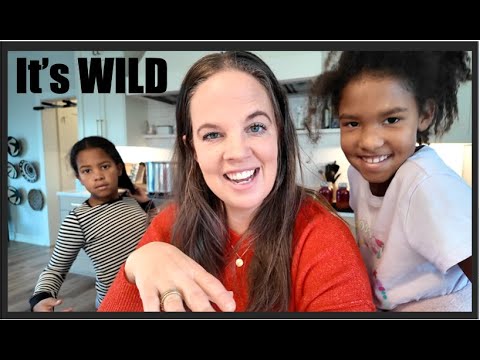 All the Christmas chaos