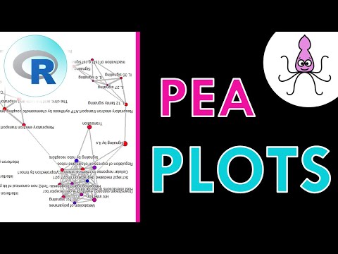 Pathway Enrichment Analysis plots: easy R tutorial