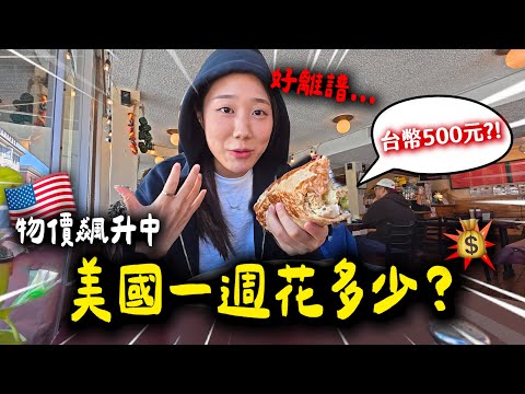 離譜的美國物價中我能生存嗎？一週花飛多少錢？💸🇺🇸留學VLOG 