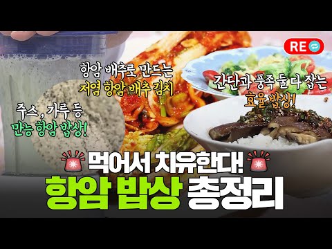 [바른 리플레이🔁]면역세포 만드는 항암 식단 총정리!